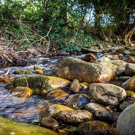 Apartamentos Rincon Del Duende San Martin  Zewnętrze zdjęcie