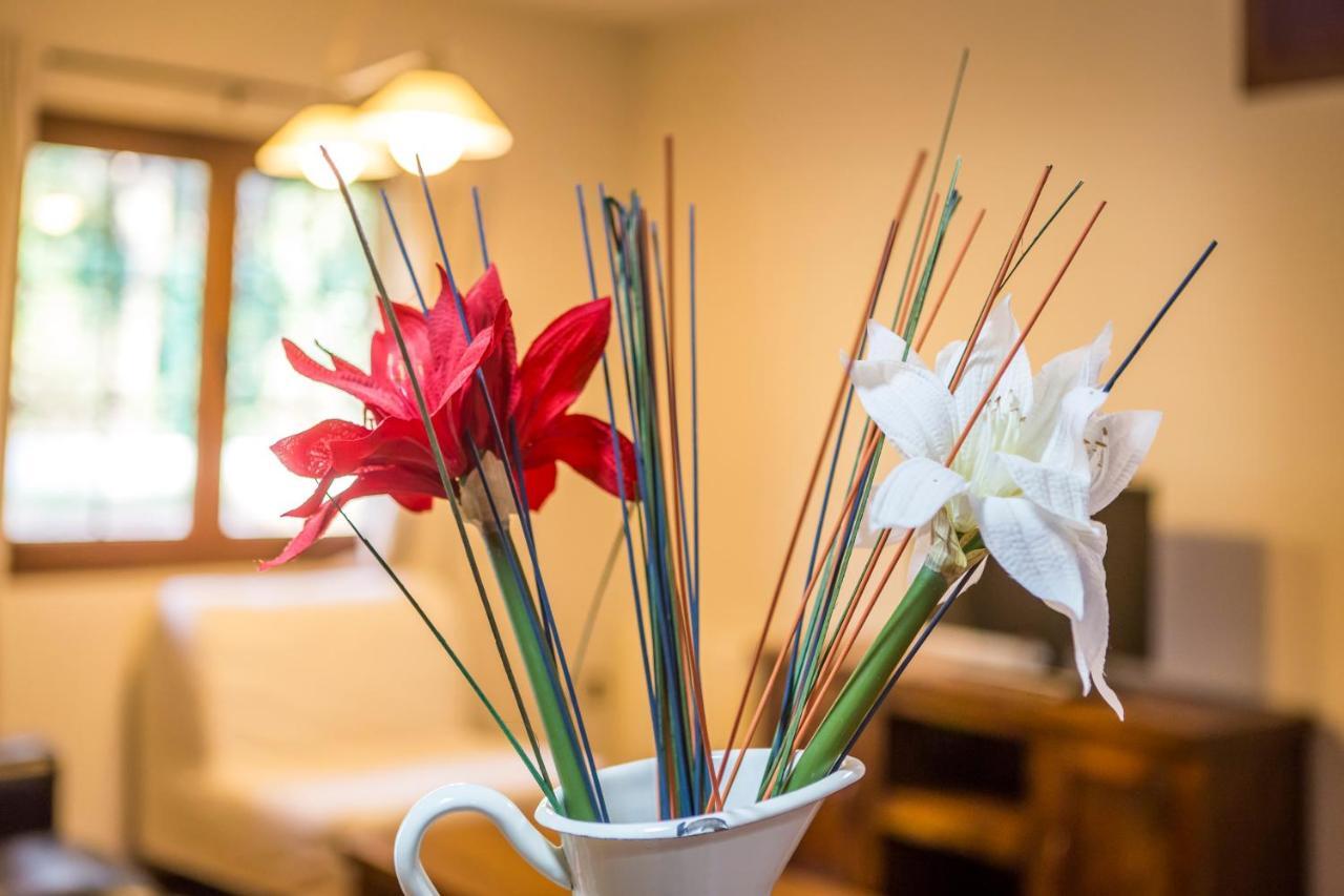 Apartamentos Rincon Del Duende San Martin  Zewnętrze zdjęcie